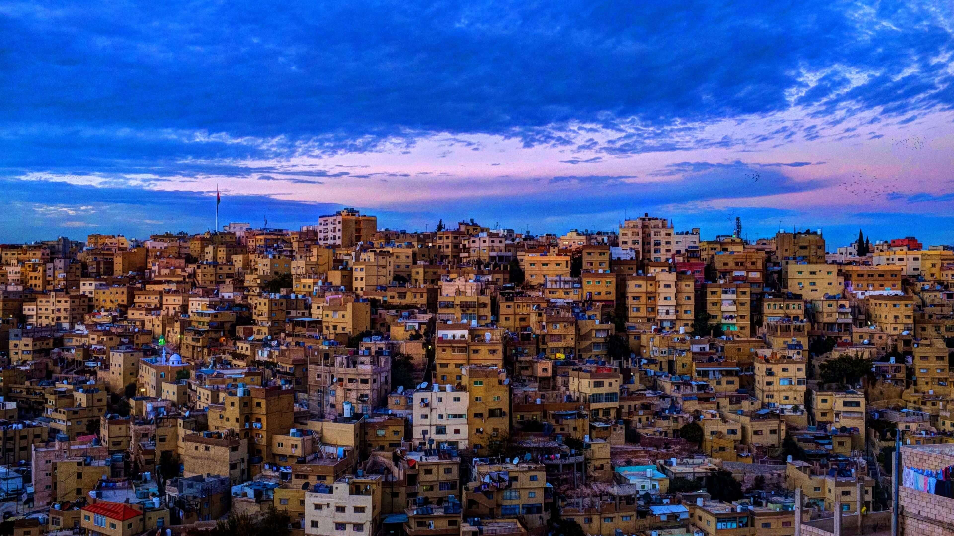 البرنامج العلمي