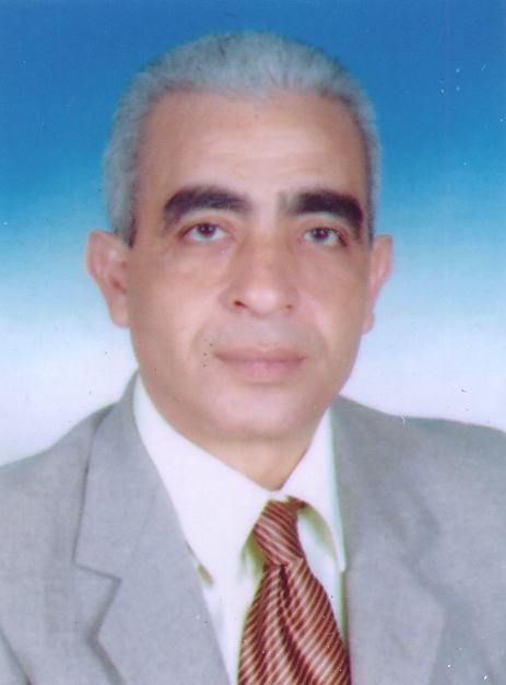 Professor Adel Mohamed Elbassiouny